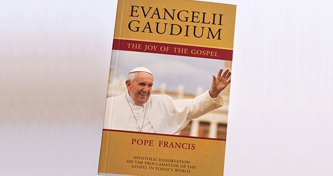 WRF Member Bob Heerdt Offers Some Thoughts on Pope Francis's EVANGELII GAUDIUM