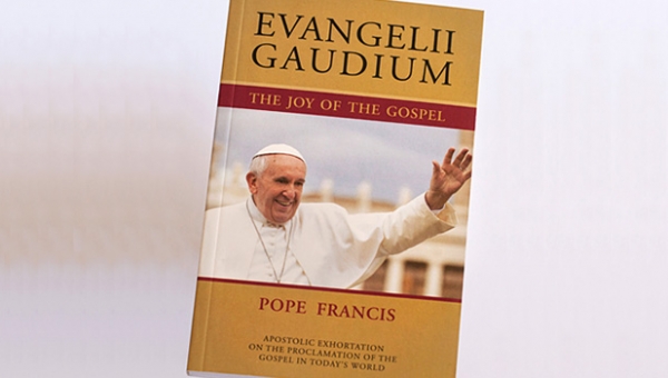WRF Member Bob Heerdt Offers Some Thoughts on Pope Francis's EVANGELII GAUDIUM