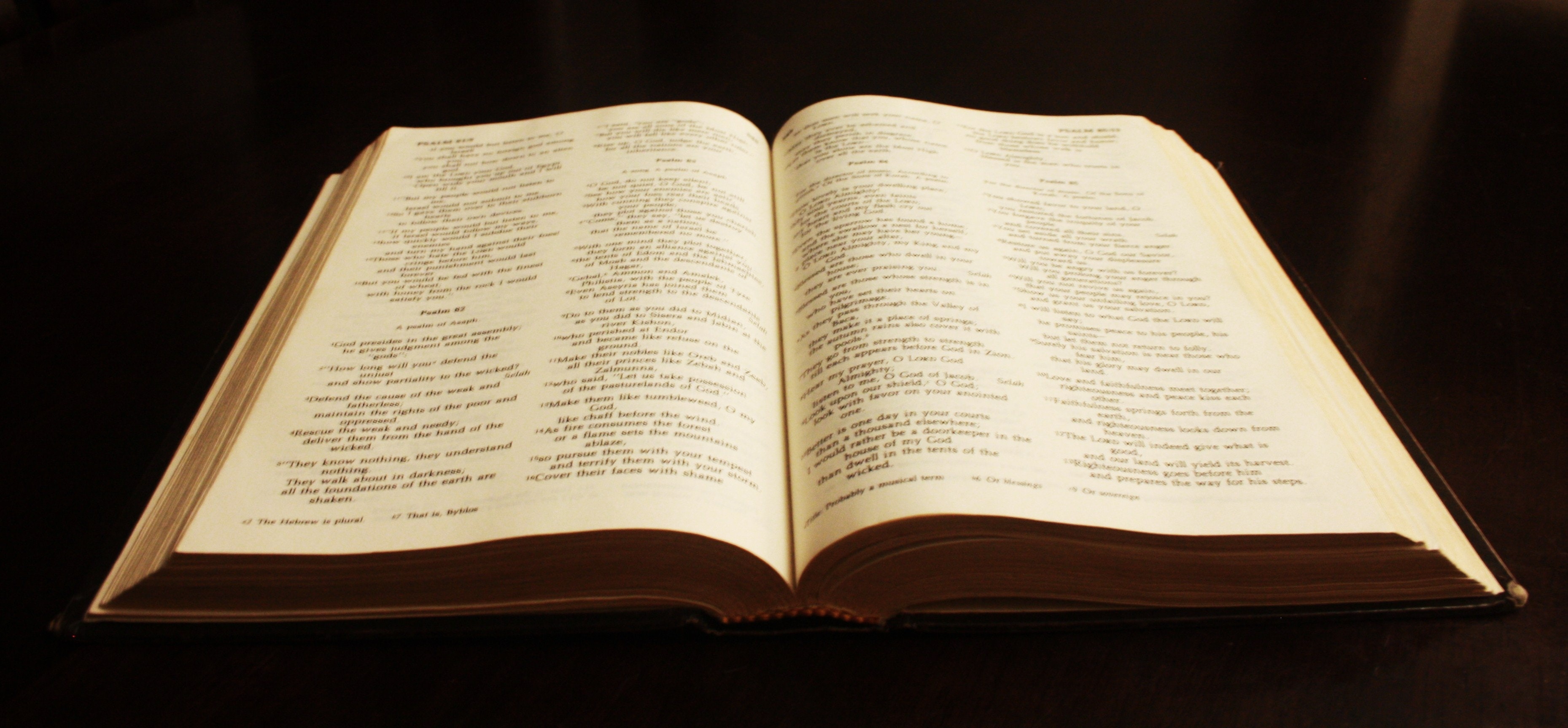 WRF International Director Dr. Flip Buys Examines Psalm 2: "Kiss the Son"