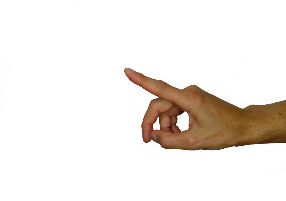 WRF Board Chairman Rick Perrin Analyzes "Obama's No Show in Paris"