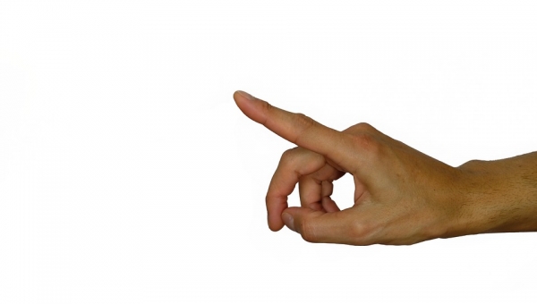 WRF Board Chairman Rick Perrin Analyzes "Obama's No Show in Paris"